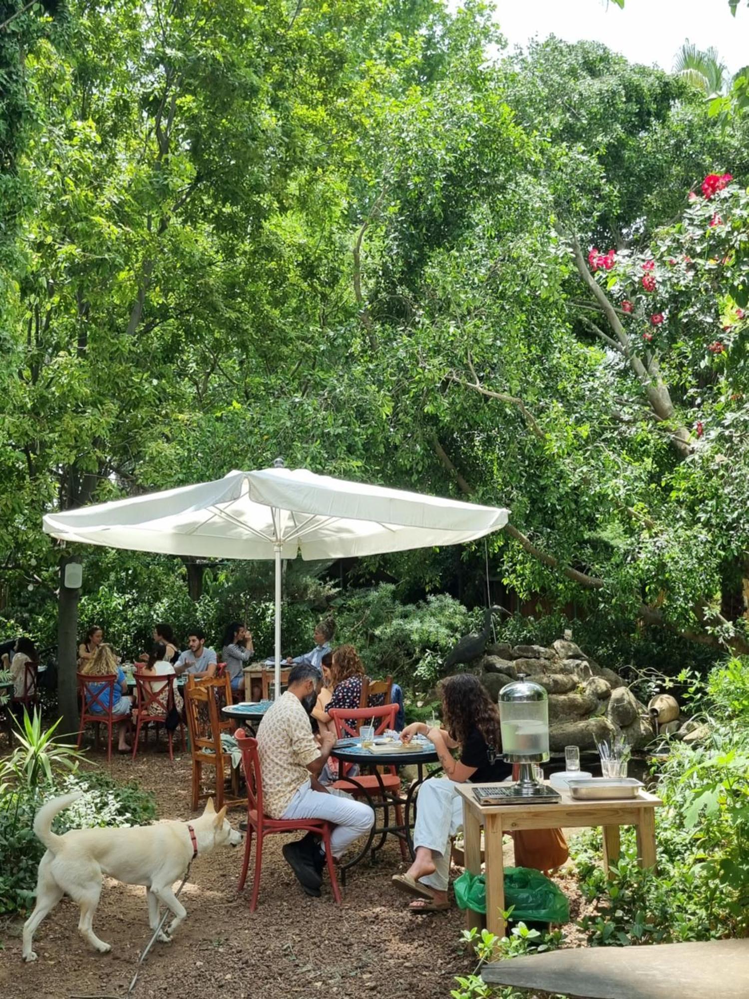 Vitrage Holiday Village And Spa Bet Hillel Εξωτερικό φωτογραφία